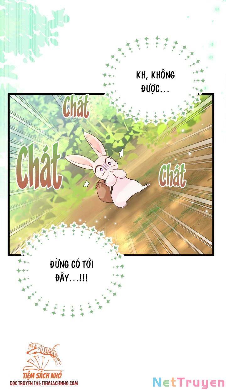 Mối Quan Hệ Cộng Sinh Giữa Báo Đen Và Thỏ Trắng Chapter 61 - 65