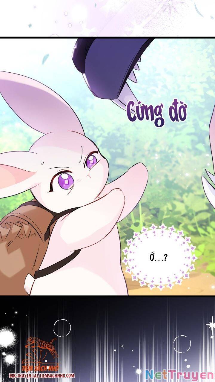 Mối Quan Hệ Cộng Sinh Giữa Báo Đen Và Thỏ Trắng Chapter 61 - 68