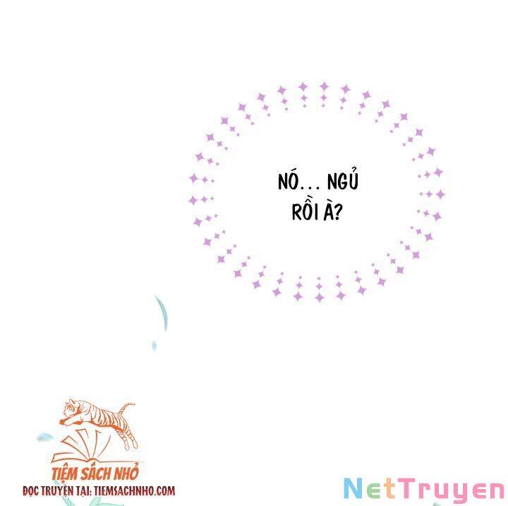 Mối Quan Hệ Cộng Sinh Giữa Báo Đen Và Thỏ Trắng Chapter 61 - 70