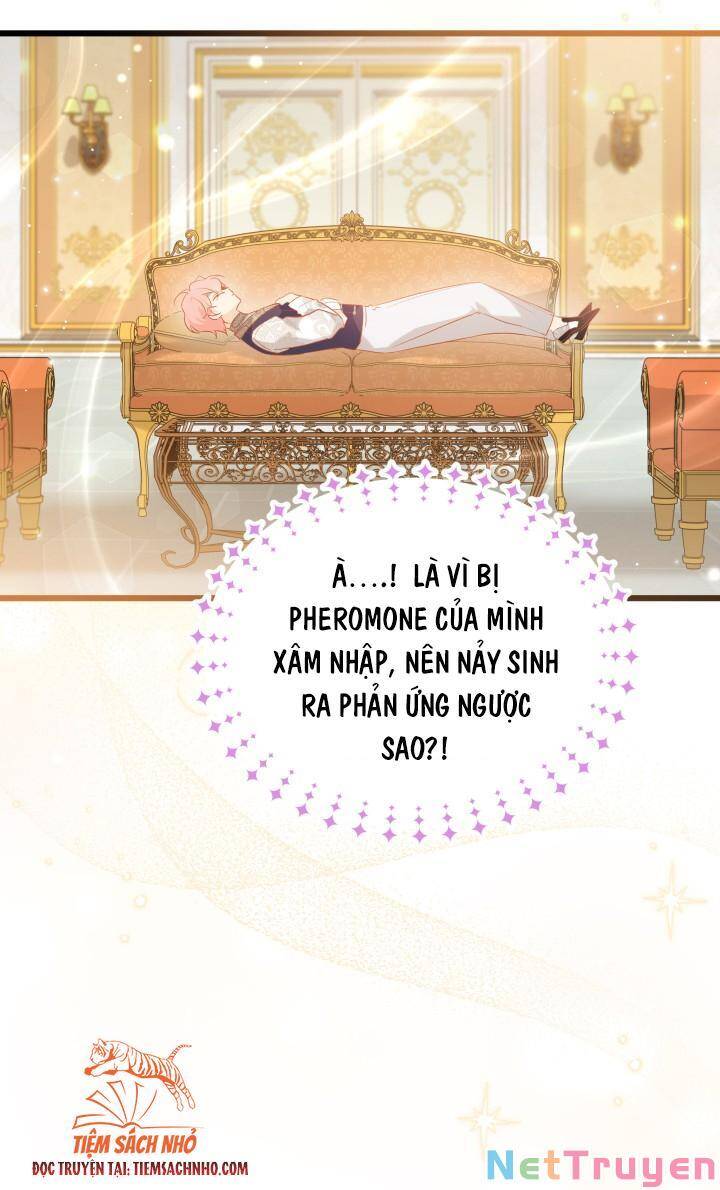 Mối Quan Hệ Cộng Sinh Giữa Báo Đen Và Thỏ Trắng Chapter 63 - 29