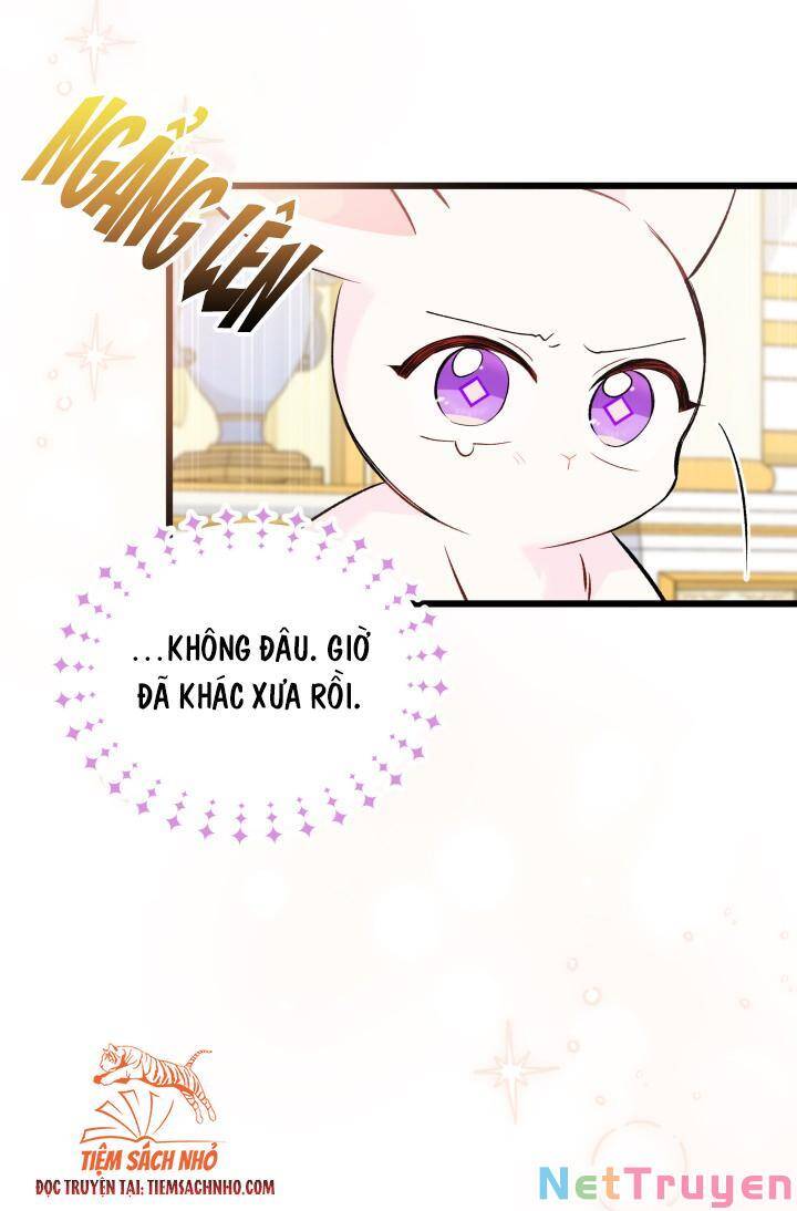 Mối Quan Hệ Cộng Sinh Giữa Báo Đen Và Thỏ Trắng Chapter 63 - 39