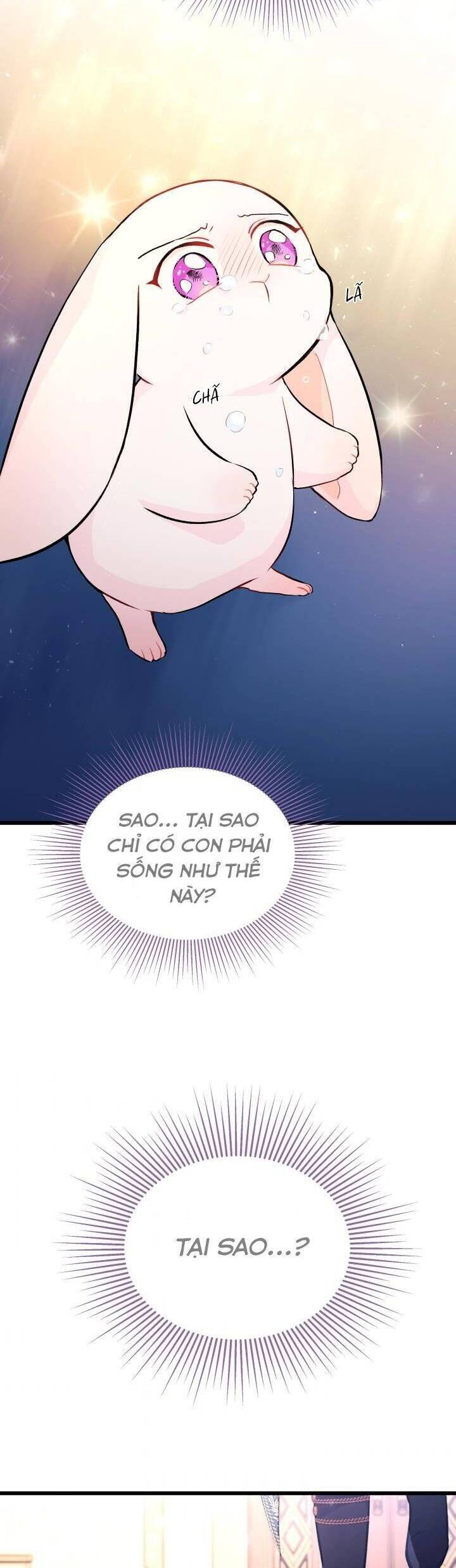 Mối Quan Hệ Cộng Sinh Giữa Báo Đen Và Thỏ Trắng Chapter 7 - 24
