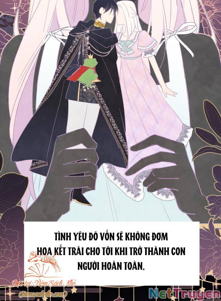 Mối Quan Hệ Cộng Sinh Giữa Báo Đen Và Thỏ Trắng Chapter 72 - 21