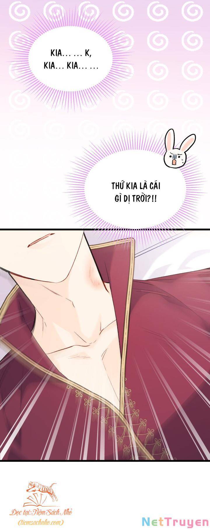 Mối Quan Hệ Cộng Sinh Giữa Báo Đen Và Thỏ Trắng Chapter 72 - 30