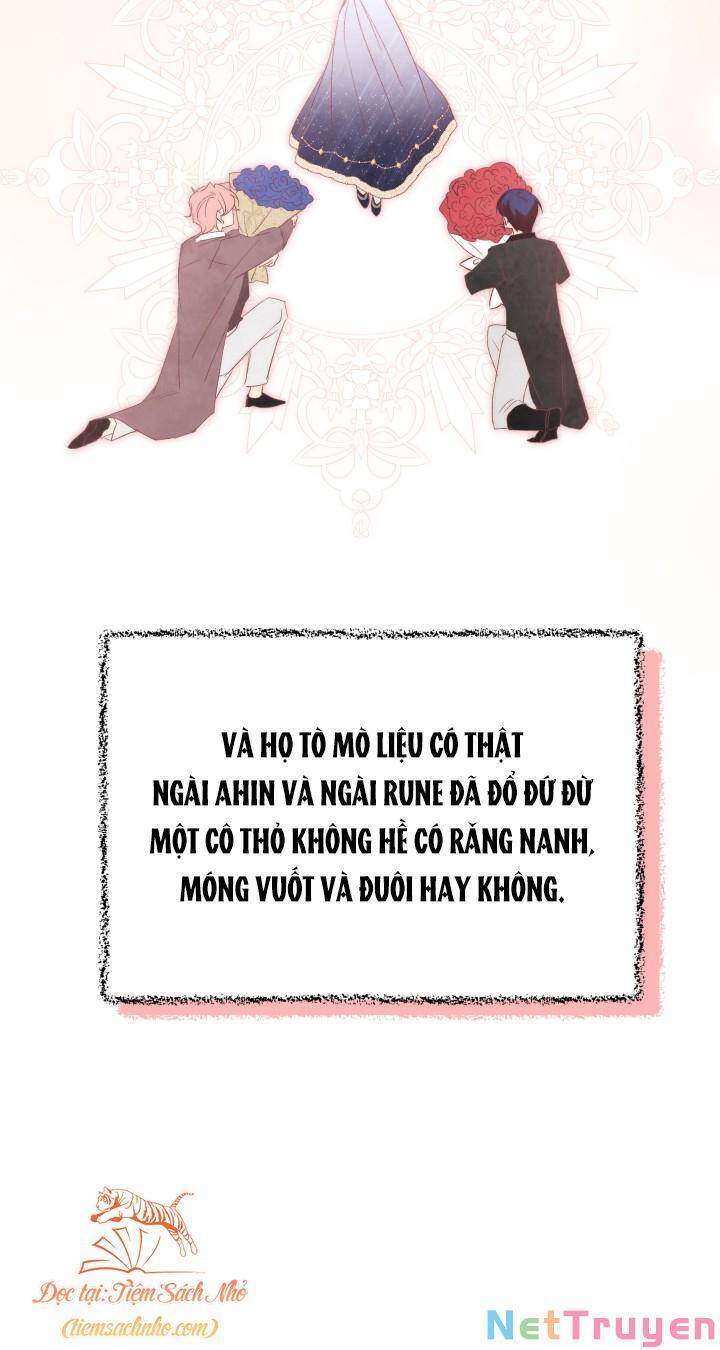 Mối Quan Hệ Cộng Sinh Giữa Báo Đen Và Thỏ Trắng Chapter 76 - 58