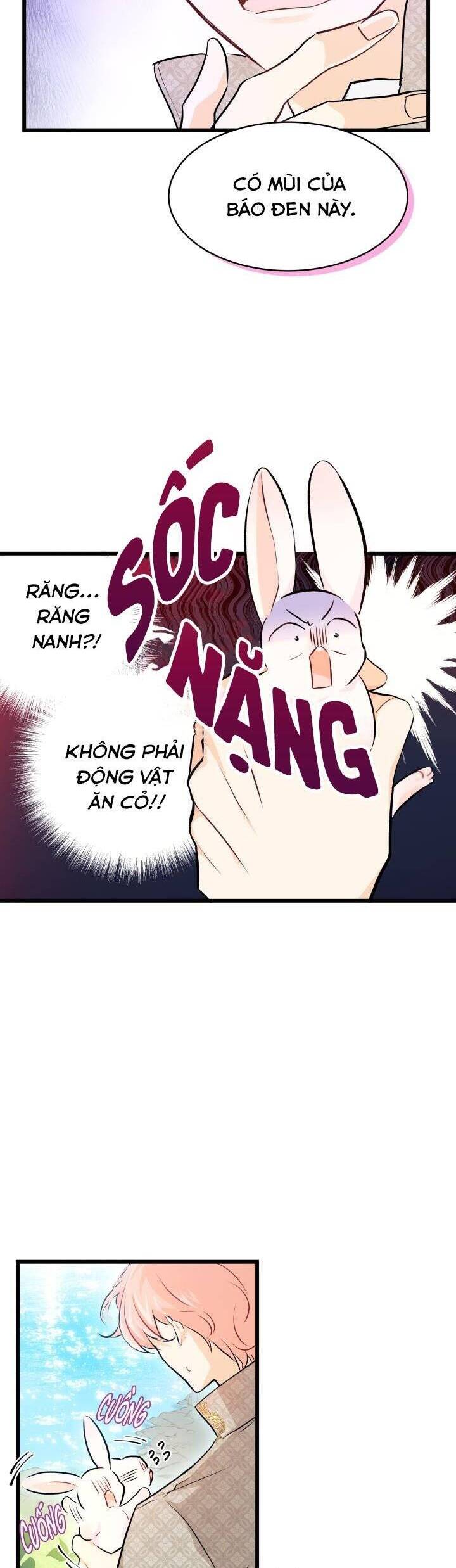 Mối Quan Hệ Cộng Sinh Giữa Báo Đen Và Thỏ Trắng Chapter 8 - 35