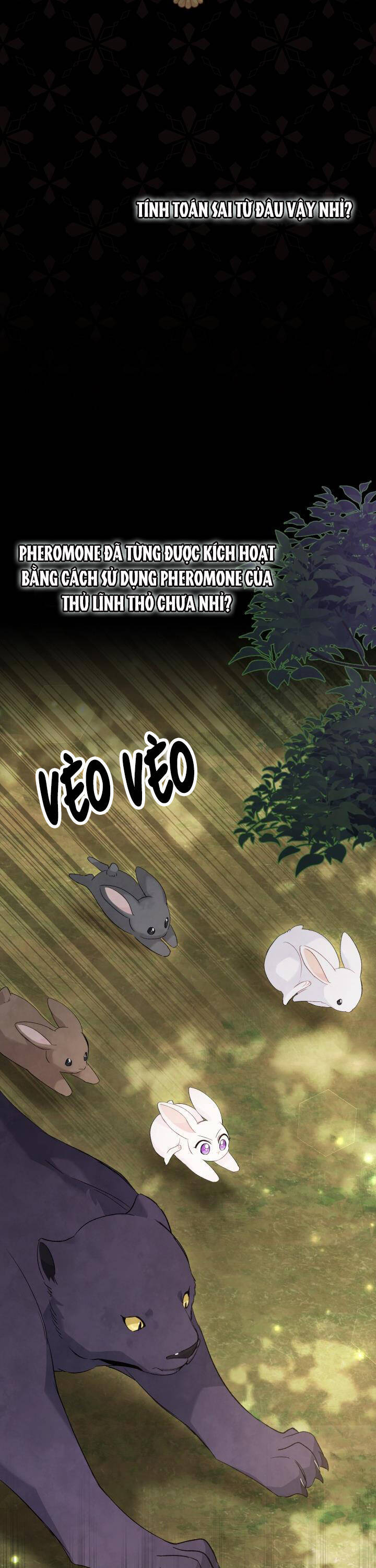 Mối Quan Hệ Cộng Sinh Giữa Báo Đen Và Thỏ Trắng Chapter 82 - 7