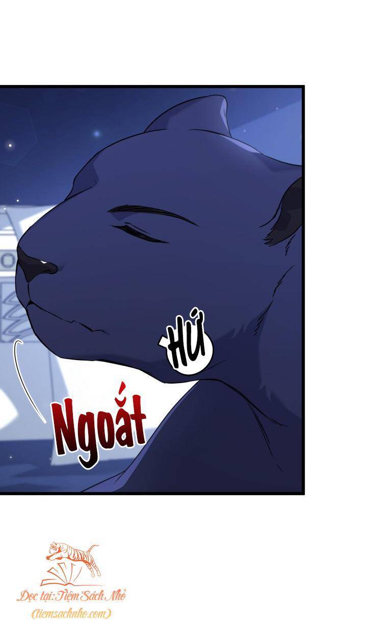 Mối Quan Hệ Cộng Sinh Giữa Báo Đen Và Thỏ Trắng Chapter 92 - 22