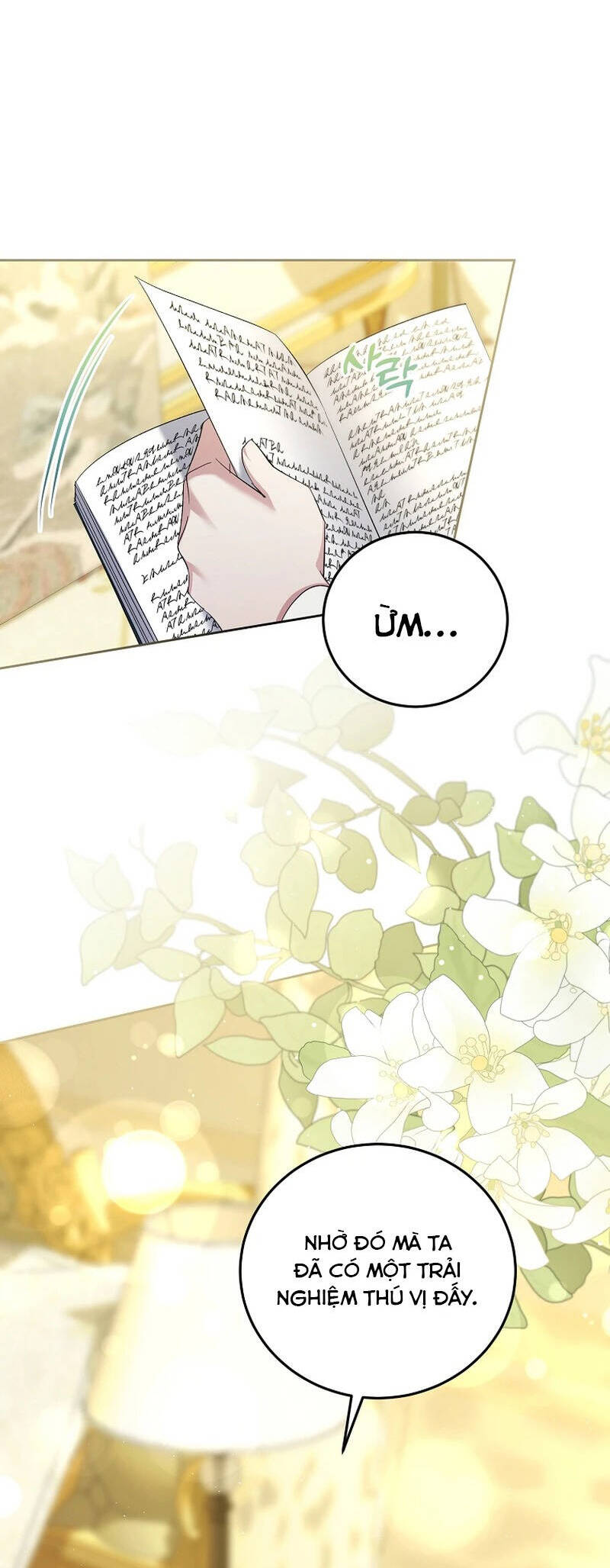 Kiếp Này Ta Sẽ Không Sống Như Một Anh Hùng Nữa Đâu! Có Lẽ Ta Sẽ Nghỉ Hưu! Chapter  26 - 53