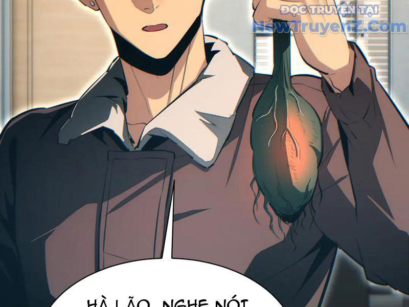 Mạt Thế Trọng Sinh: Ta Quay Gacha Làm Trùm! Chapter 50 - 132