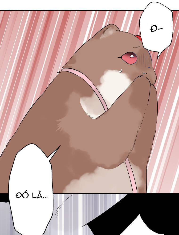 Cô Dâu Hiến Tế Của Thủy Thần Chapter 10 - 19