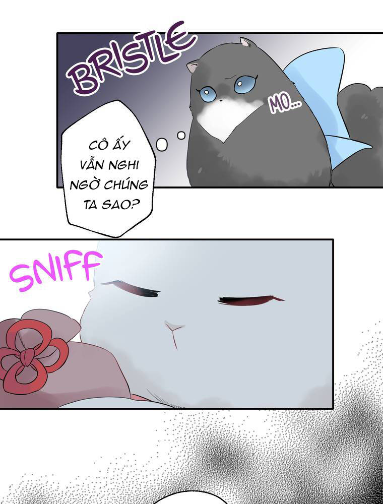 Cô Dâu Hiến Tế Của Thủy Thần Chapter 10 - 27