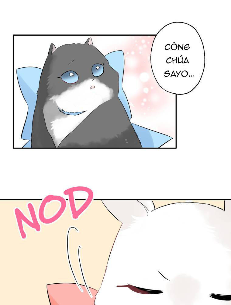Cô Dâu Hiến Tế Của Thủy Thần Chapter 10 - 31