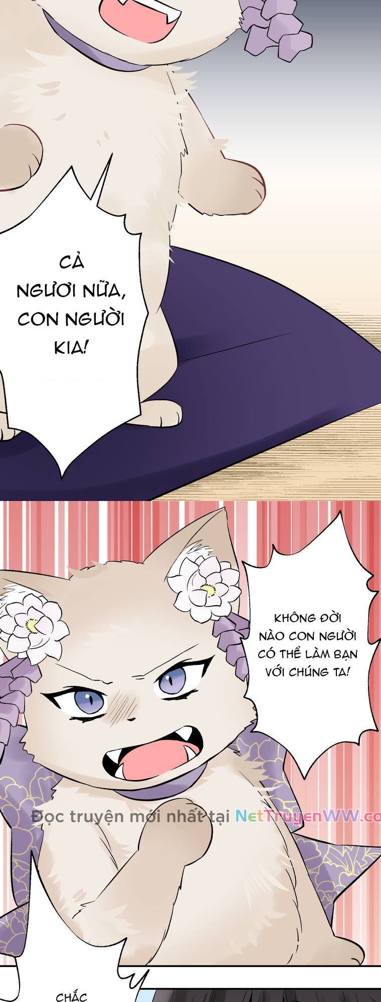 Cô Dâu Hiến Tế Của Thủy Thần Chapter 15 - 9