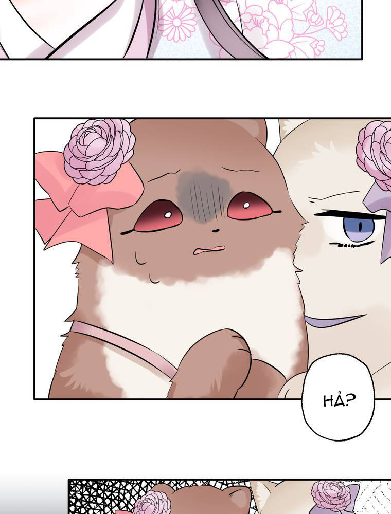 Cô Dâu Hiến Tế Của Thủy Thần Chapter 27 - 13