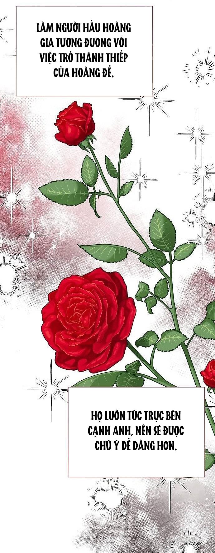 Cho Đến Khi Nữ Chính Thực Sự Xuất Hiện Chapter 28 - 39