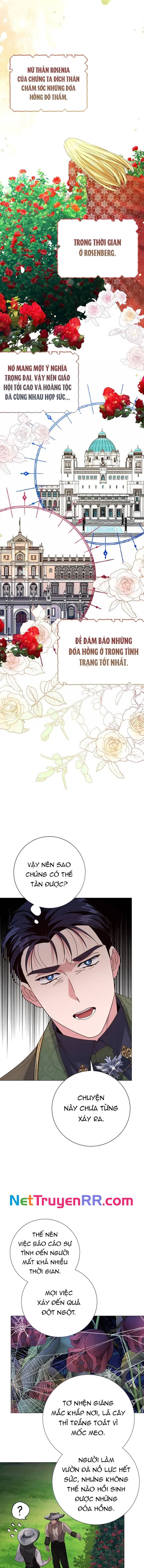 Cho Đến Khi Nữ Chính Thực Sự Xuất Hiện Chapter 31 - 7