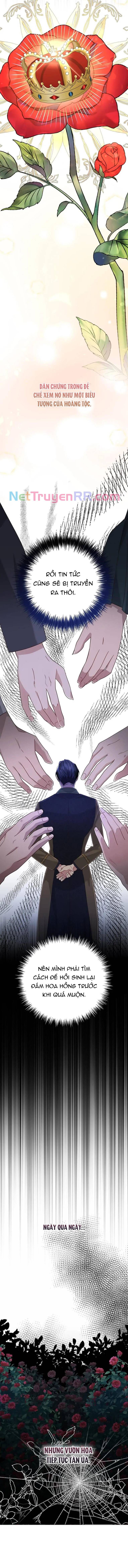Cho Đến Khi Nữ Chính Thực Sự Xuất Hiện Chapter 31 - 9
