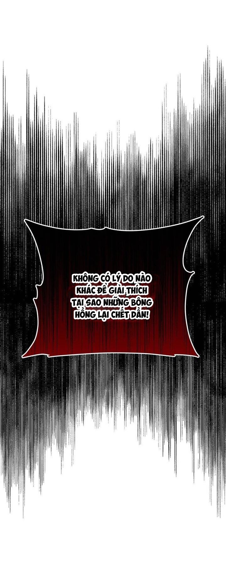 Cho Đến Khi Nữ Chính Thực Sự Xuất Hiện Chapter 34 - 3