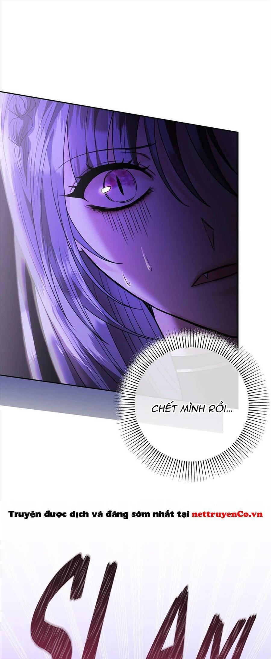 Chủ Hầm Ngục Cấp S Chapter 13 - 19