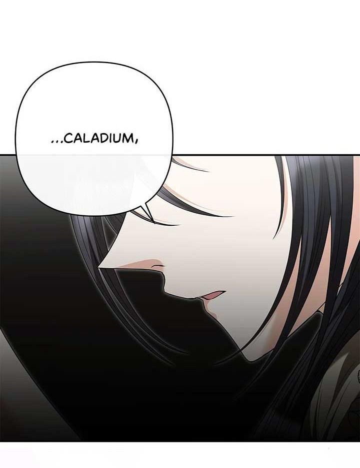 Chủ Hầm Ngục Cấp S Chapter 47 - 4