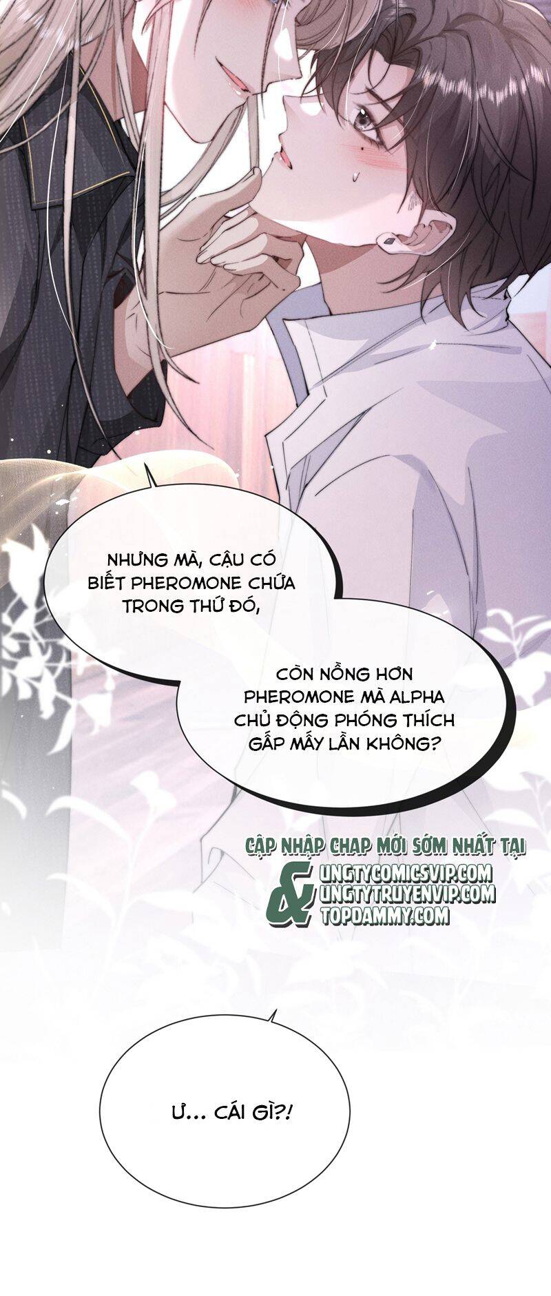 Kế Hoạch Tự Dưỡng Cuồng Khuyển Chapter 20 - 35