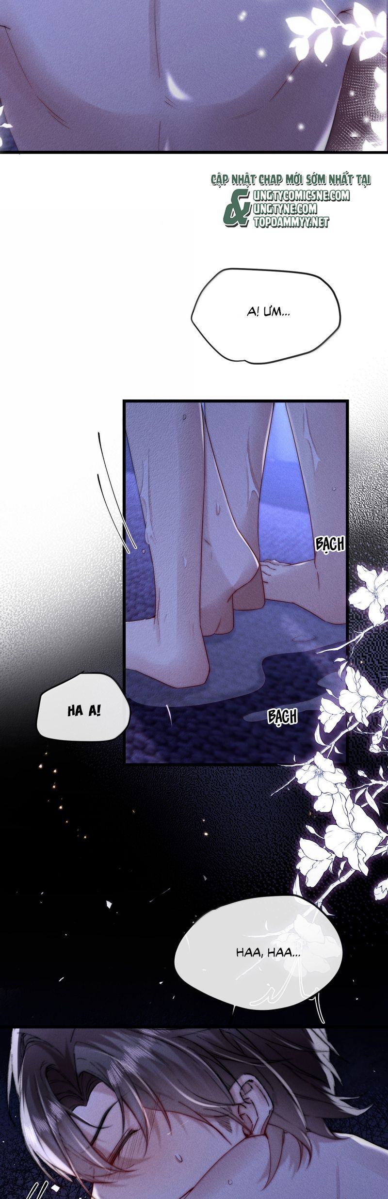 Kế Hoạch Tự Dưỡng Cuồng Khuyển Chapter 70 - 16