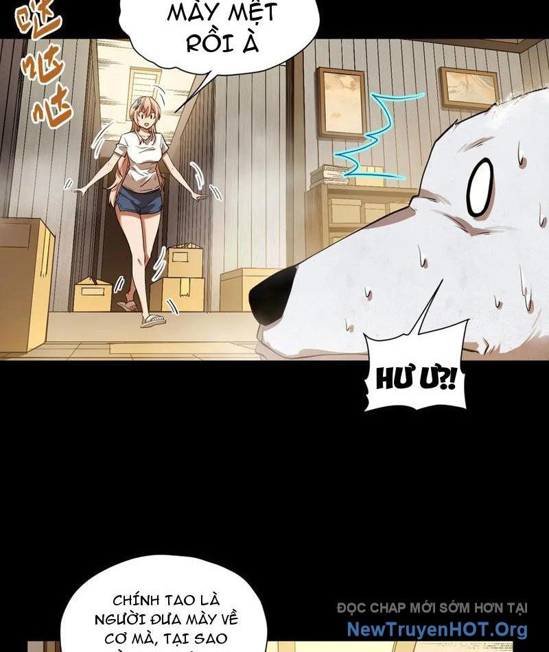 Cực Hàn Chiến Kỷ Chapter 60 - 58