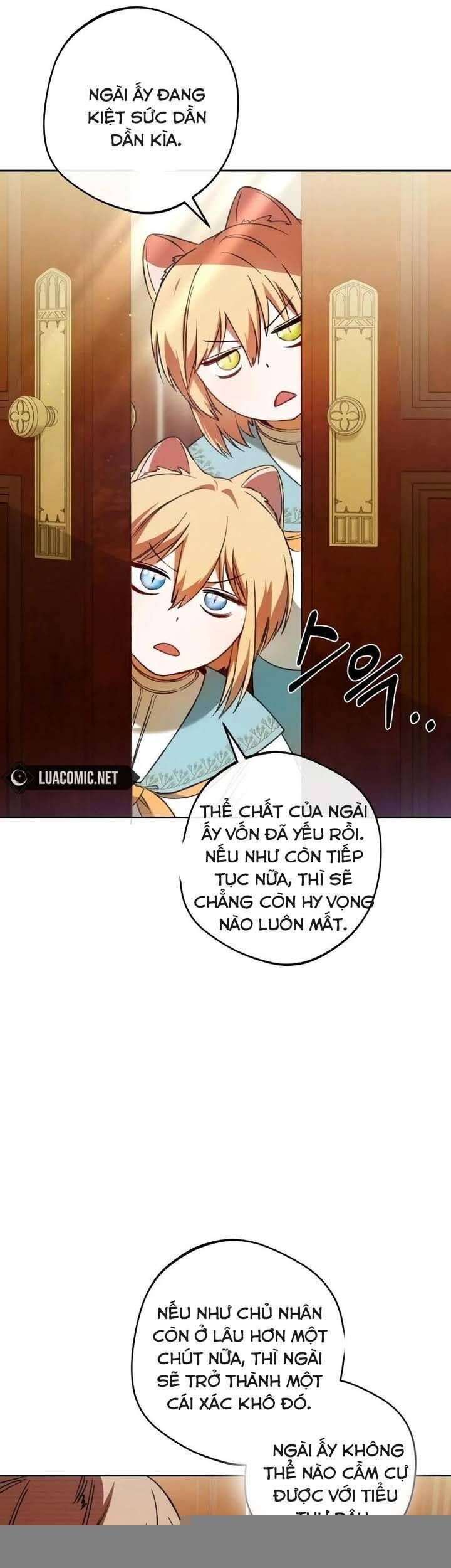 Bạo Chúa Độc Ác Trở Lại Chapter 19 - 5