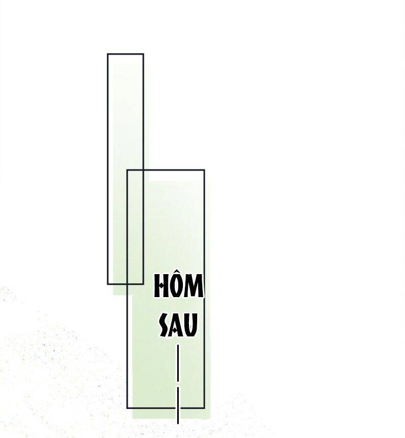 Hải Vương Sau Khi Hoàn Lương Sa Vào Tu La Tràng Chapter 3 - 48