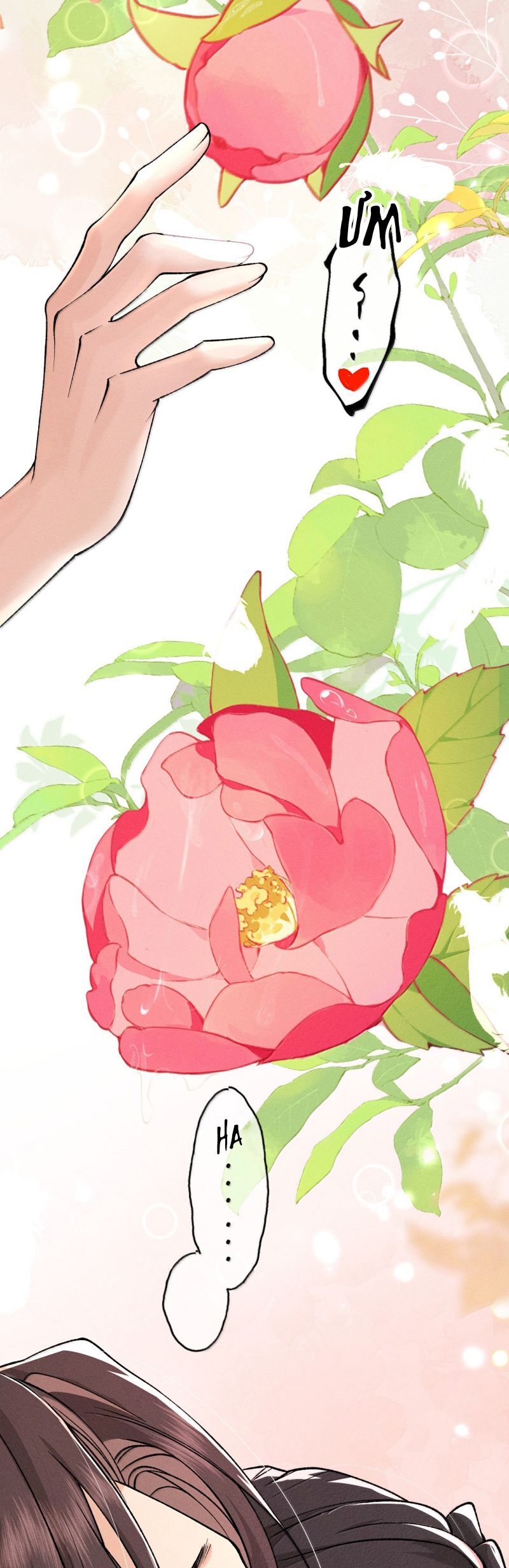 Hải Vương Sau Khi Hoàn Lương Sa Vào Tu La Tràng Chapter 44 - 13