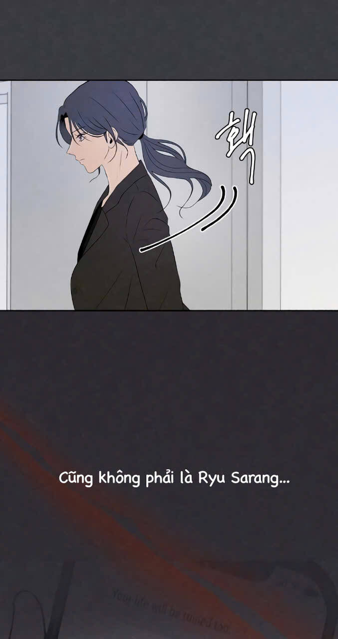 Tôi Muốn Ngừng Việc Giết Chóc Chapter 15 - 12