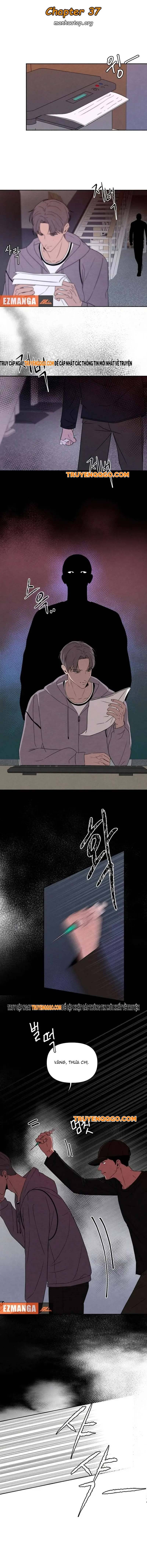 Tôi Muốn Ngừng Việc Giết Chóc Chapter 37 - 2