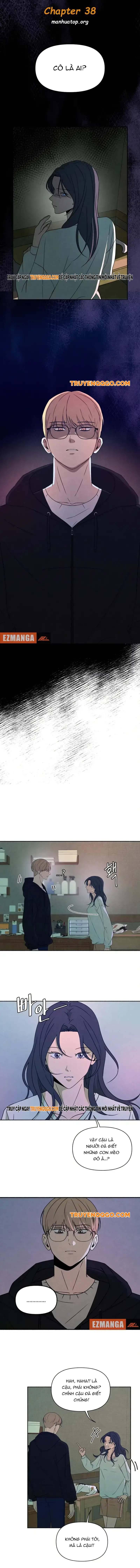 Tôi Muốn Ngừng Việc Giết Chóc Chapter 38 - 2