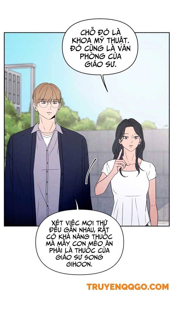 Tôi Muốn Ngừng Việc Giết Chóc Chapter 41 - 11