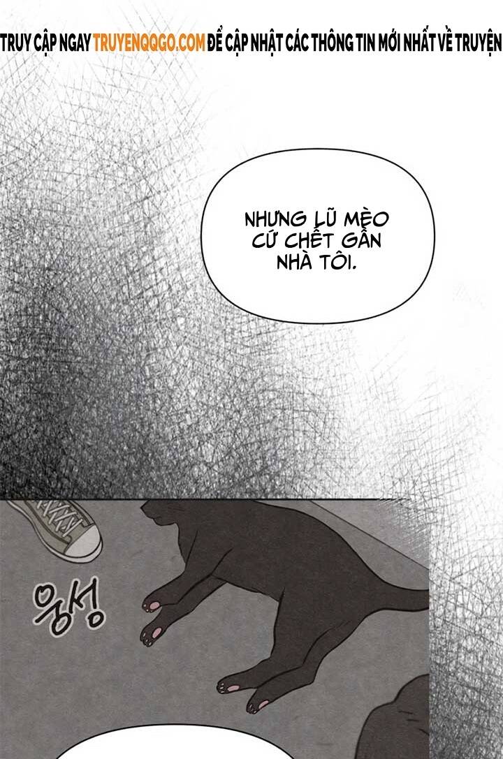 Tôi Muốn Ngừng Việc Giết Chóc Chapter 41 - 52