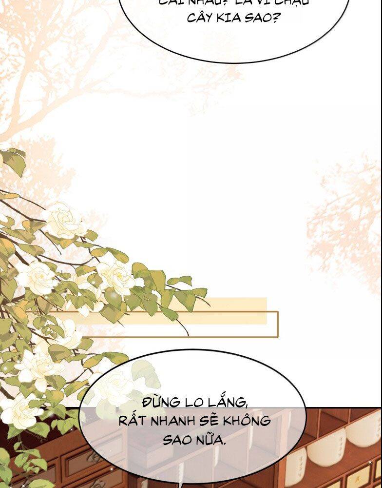 Điện Hạ Khuynh Thành Chapter 100 - 18