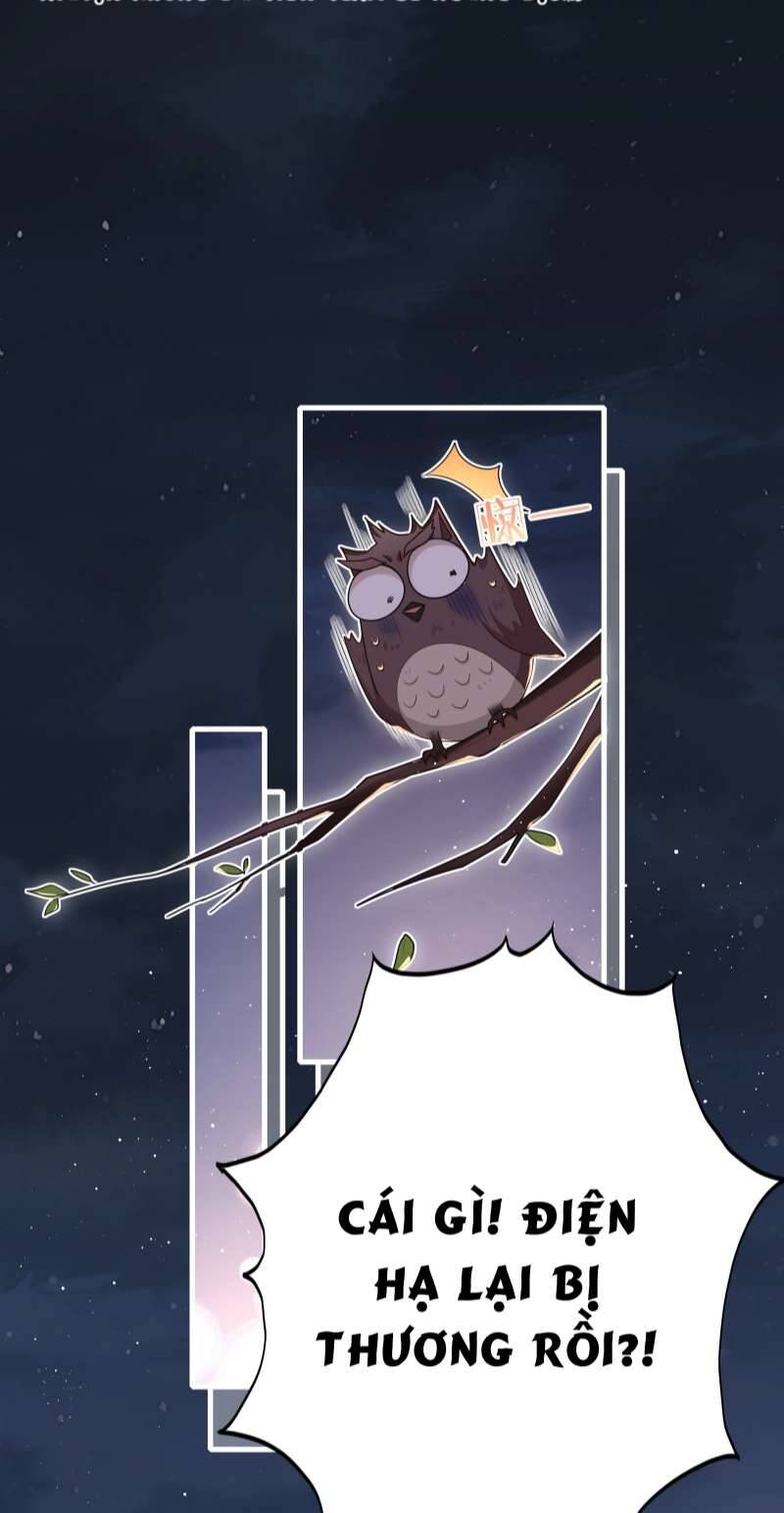 Điện Hạ Khuynh Thành Chapter 27 - 11