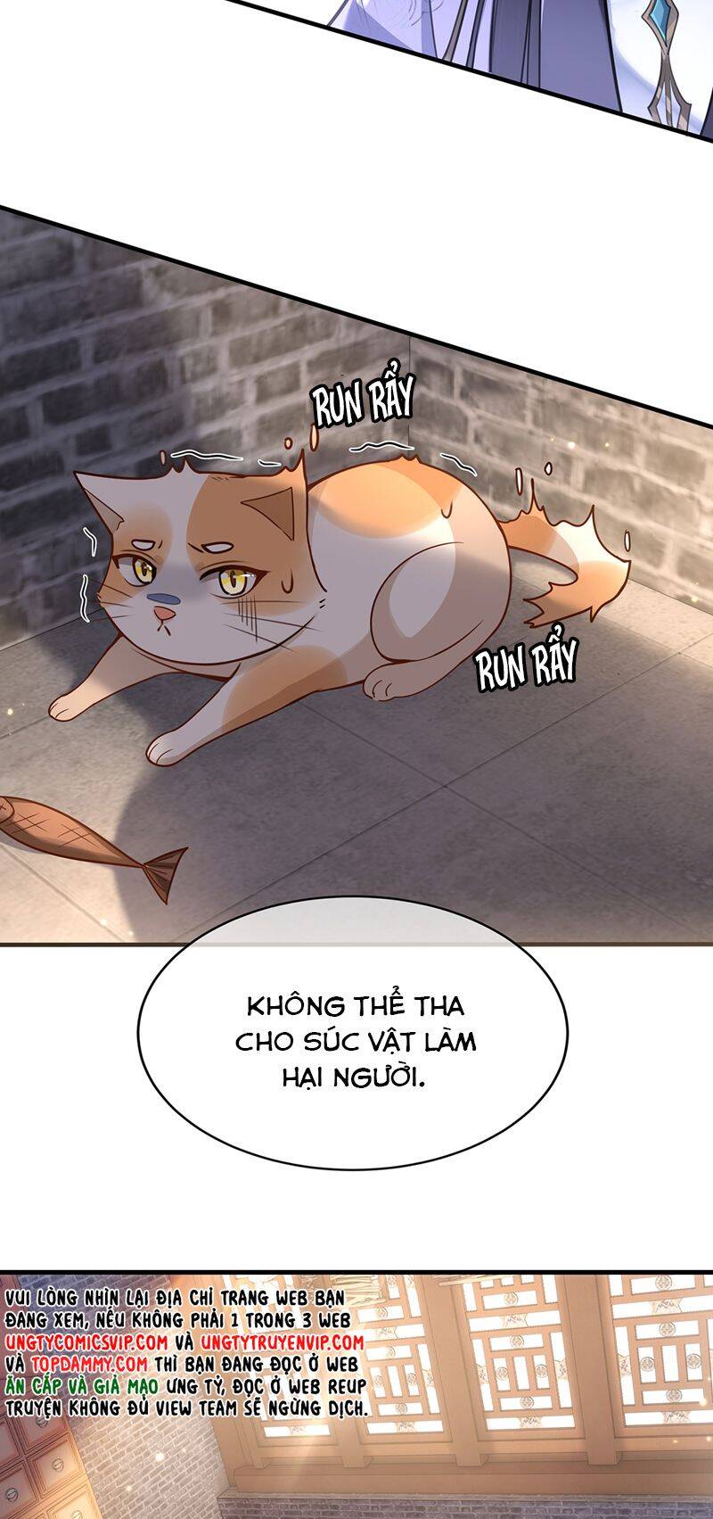 Điện Hạ Khuynh Thành Chapter 72 - 26