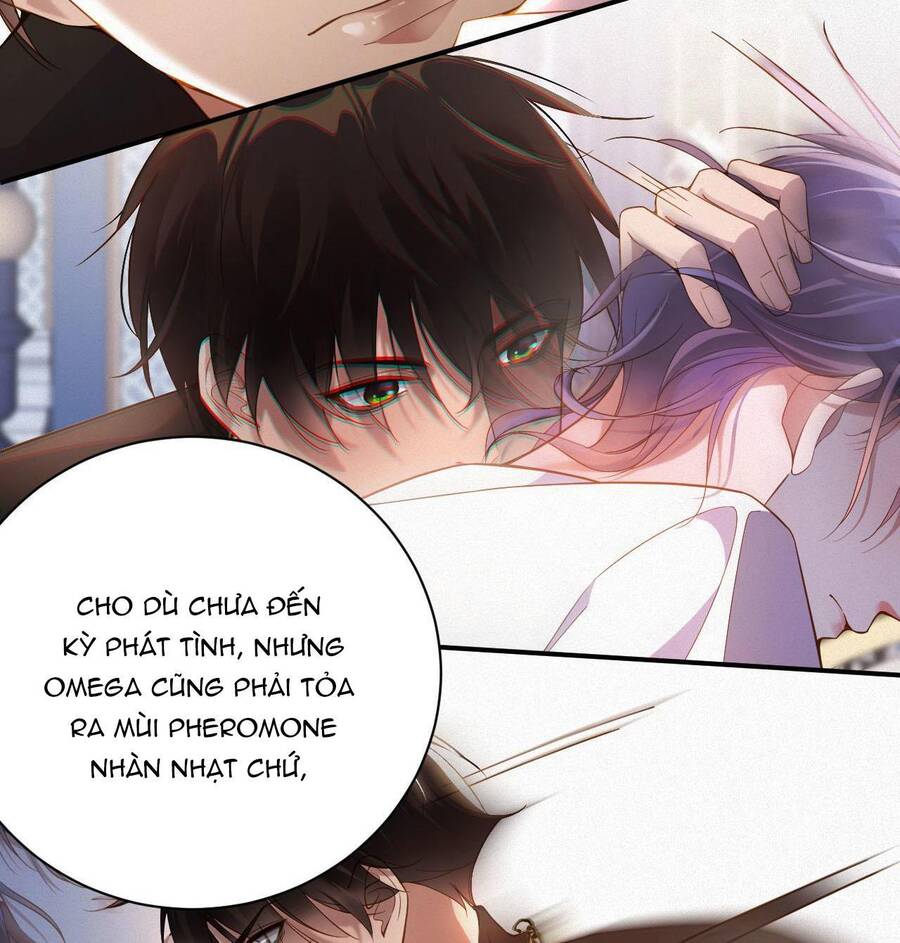 Chồng Cũ Muốn Tái Hôn Lần Nữa Chapter 1 - 51