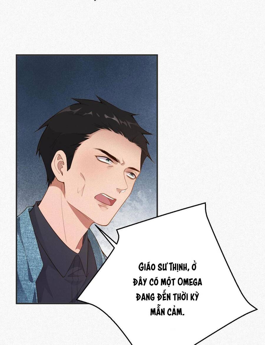 Chồng Cũ Muốn Tái Hôn Lần Nữa Chapter 13 - 35