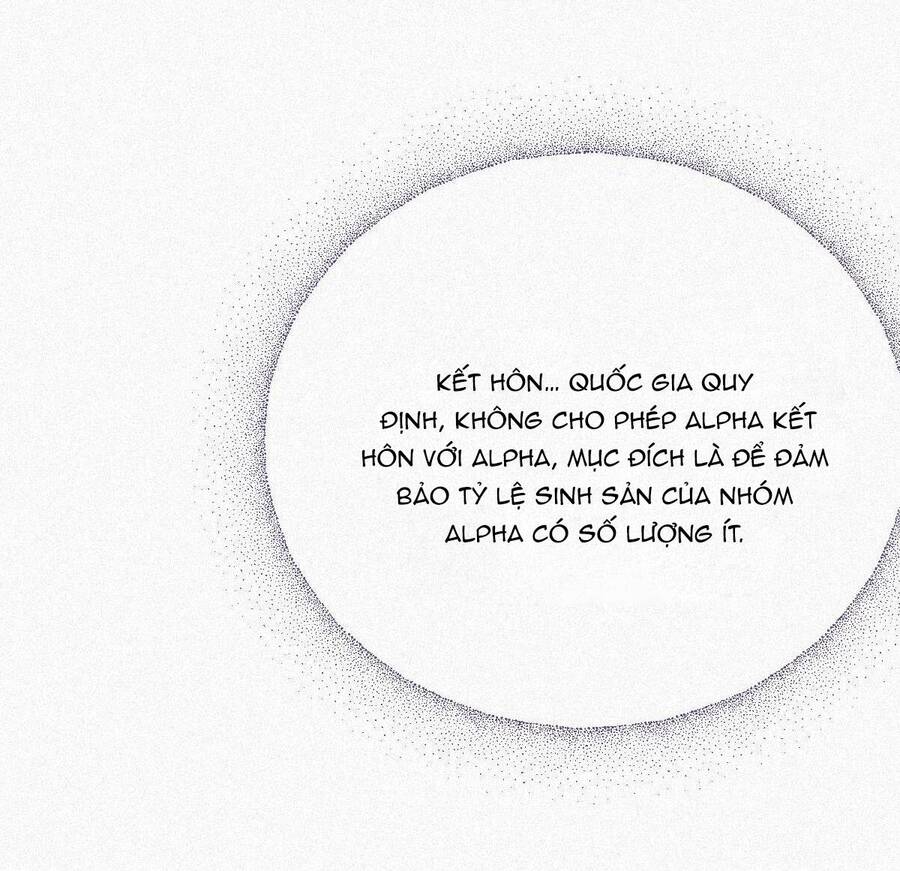 Chồng Cũ Muốn Tái Hôn Lần Nữa Chapter 2 - 12