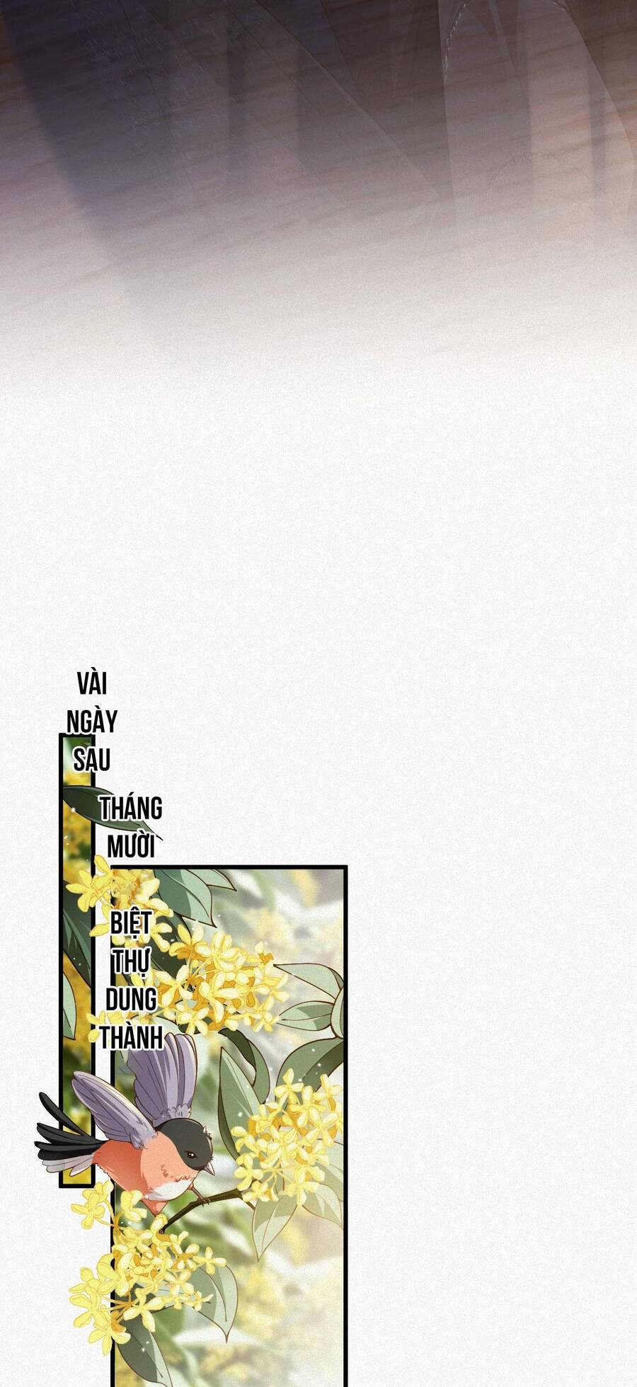 Chồng Cũ Muốn Tái Hôn Lần Nữa Chapter 24 - 36