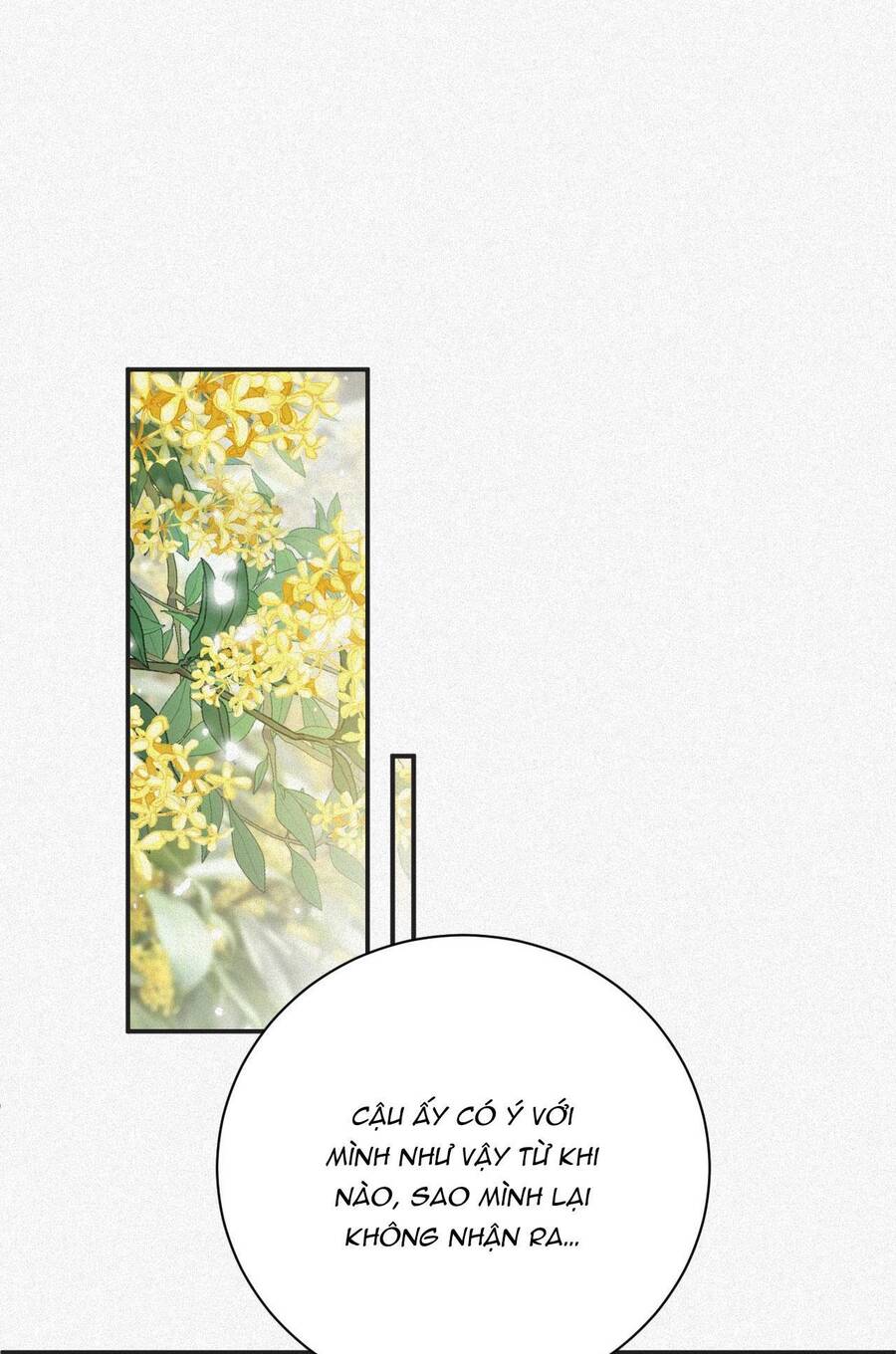 Chồng Cũ Muốn Tái Hôn Lần Nữa Chapter 25 - 4