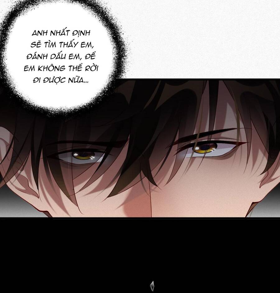 Chồng Cũ Muốn Tái Hôn Lần Nữa Chapter 28 - 8