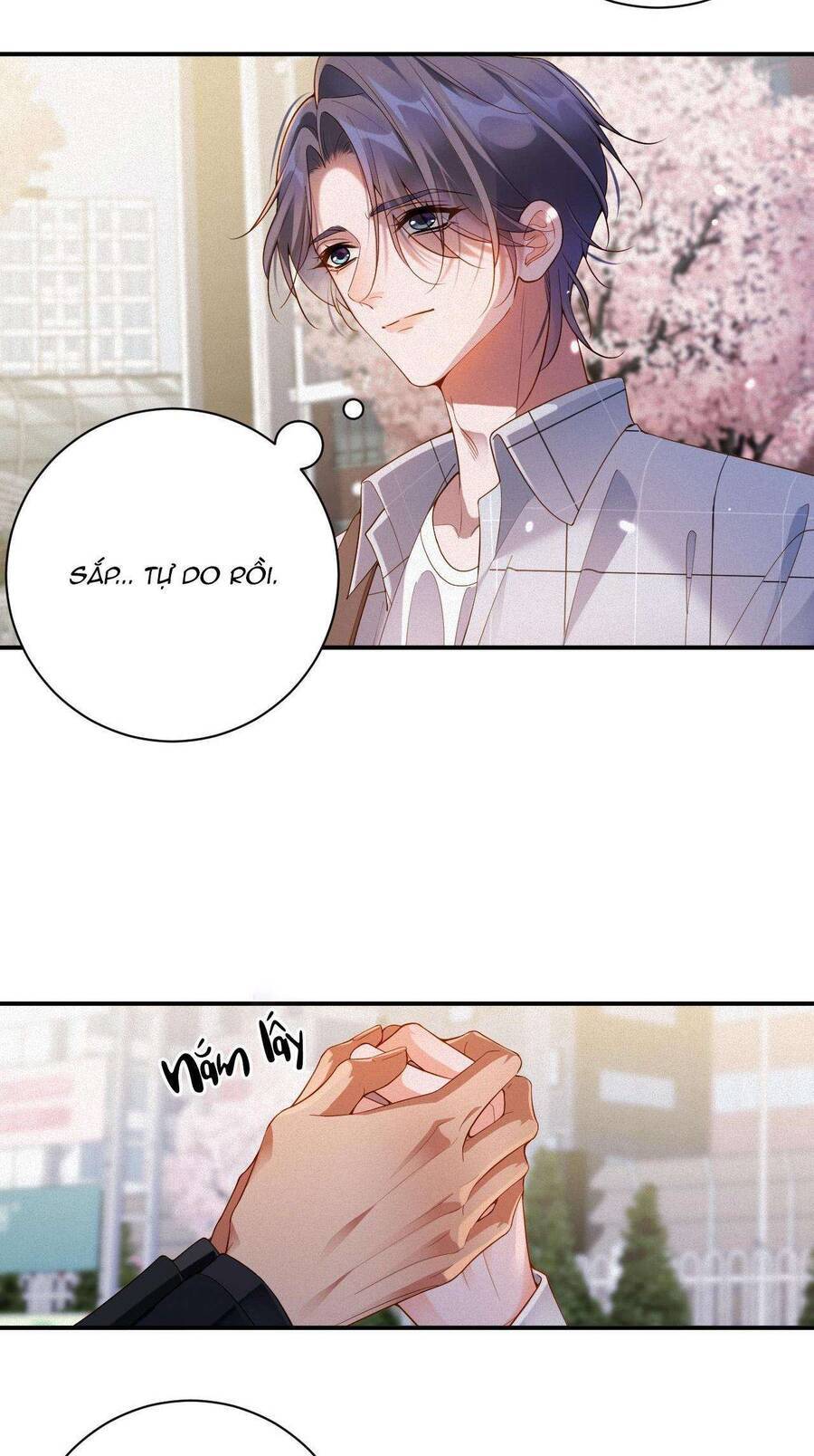 Chồng Cũ Muốn Tái Hôn Lần Nữa Chapter 50 - 24