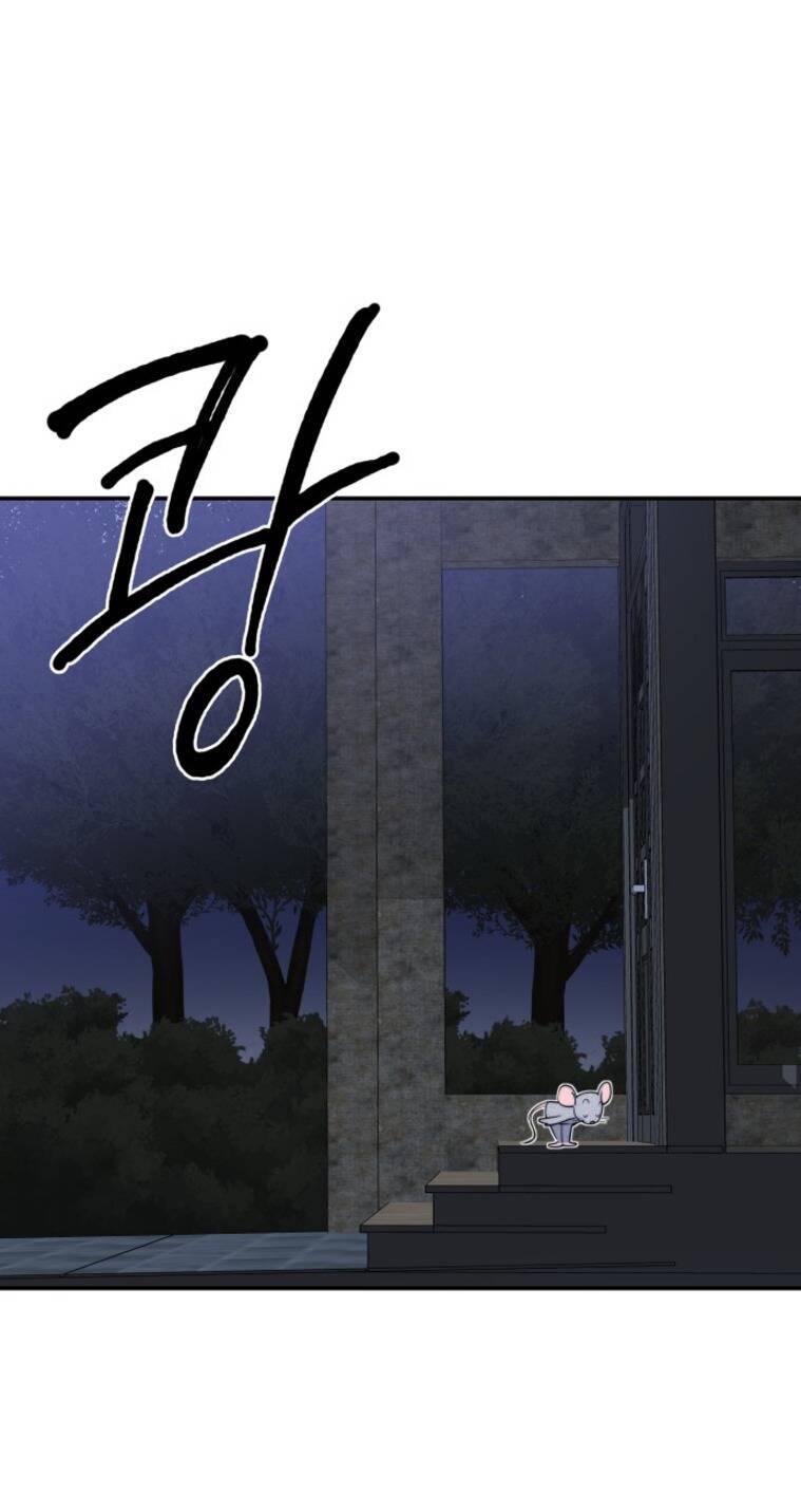 Chị Em Nhà Ki Chapter 12 - 20
