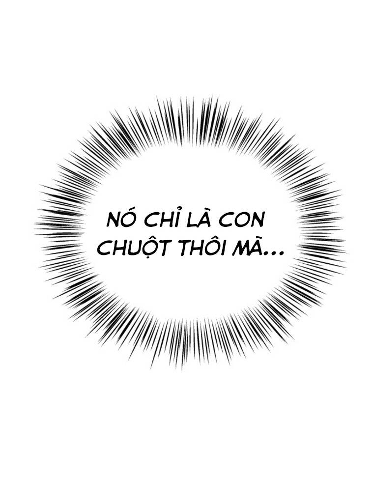 Chị Em Nhà Ki Chapter 12 - 22