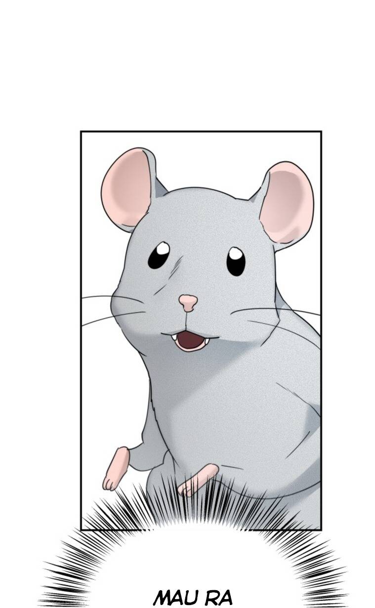 Chị Em Nhà Ki Chapter 12 - 23