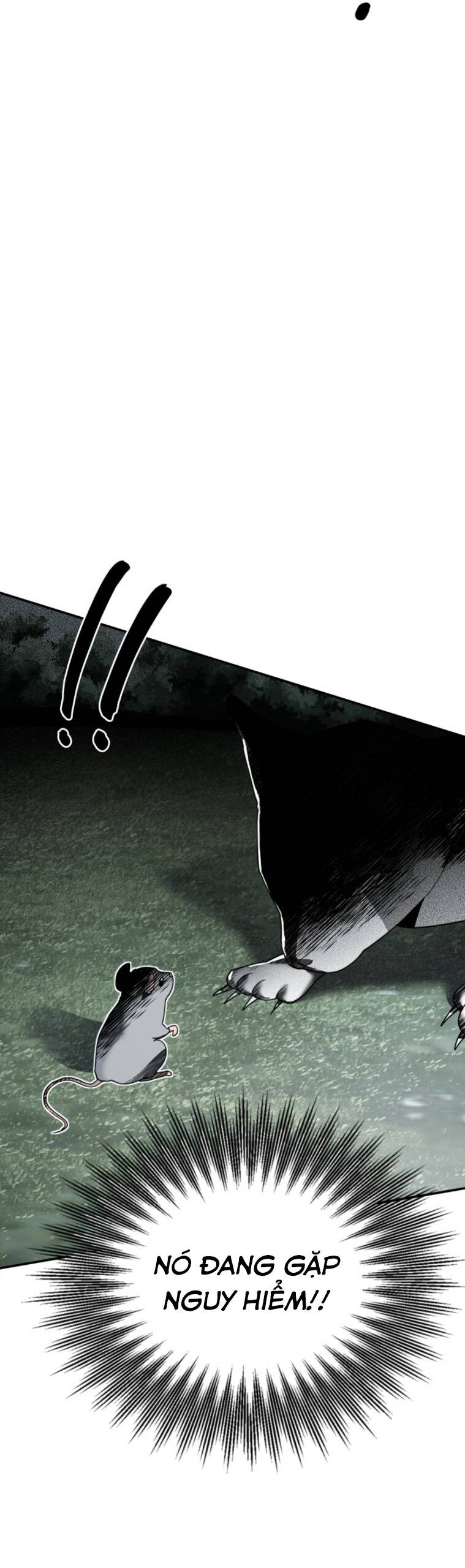 Chị Em Nhà Ki Chapter 12 - 40